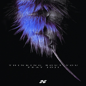 本末集合派智捷元港中小微出海生态
