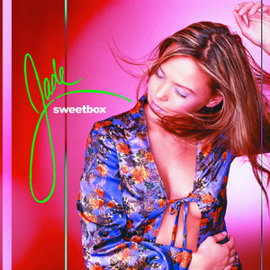 本末集合派智捷元港中小微出海生态
