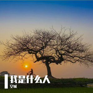 本末集合派智捷元港中小微出海生态
